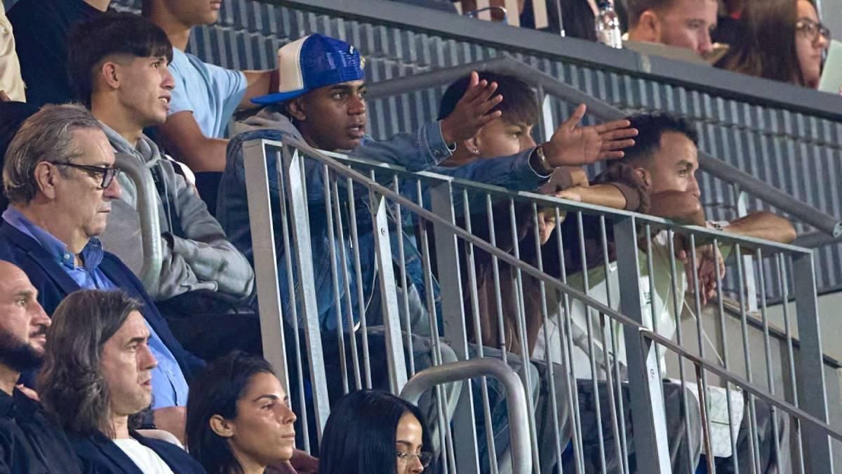 年都会去看, 的节目, amp 年都会去看, 的节目, amp